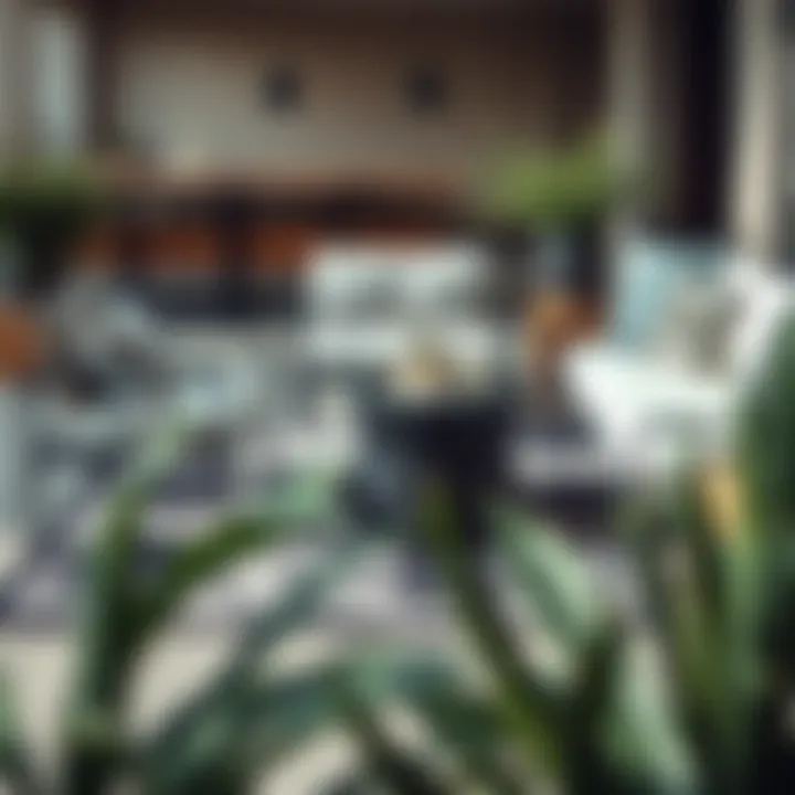 Complementing Outdoor Furniture with Rugs Black and ivory rug complementing stylish outdoor furniture