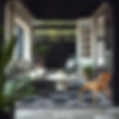 Outdoor Elegance with Black and Ivory Rugs Stylish black and ivory rug enhancing an outdoor patio