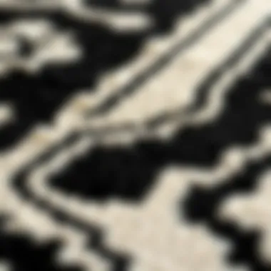 Intricate Patterns in Black and Ivory Rugs Close-up of intricate patterns on a black and ivory rug