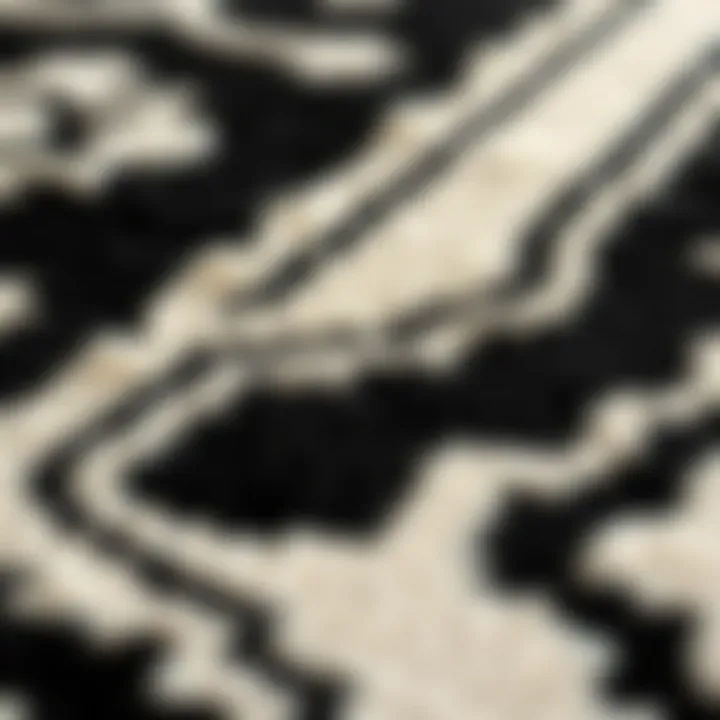 Intricate Patterns in Black and Ivory Rugs Close-up of intricate patterns on a black and ivory rug