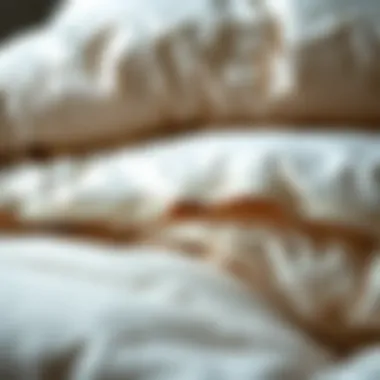 Close-up of Comforter Materials and Textures Close-up of down alternative comforter materials and textures