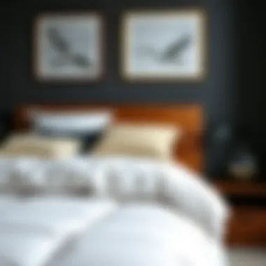 Sustainable Bedding Choices with Down Alternatives Sustainable bedding options with down alternative comforters