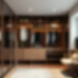 Modern Closet System Design Elegant design of a modern closet system