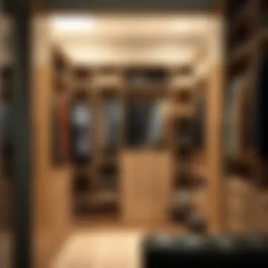 Maximized Space in Closet Maximized space in a well-organized closet