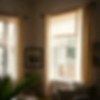 Elegant window treatment held by a tension rod