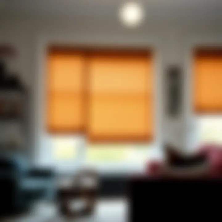 Diverse Velvet Color Palette Diverse color palette of velvet window shades