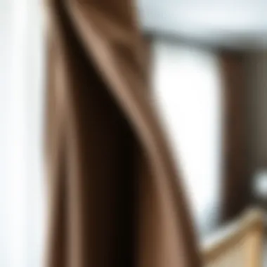 Close-up on Energy-Efficient Features of Blackout Curtains Close-up of energy-efficient blackout curtain features