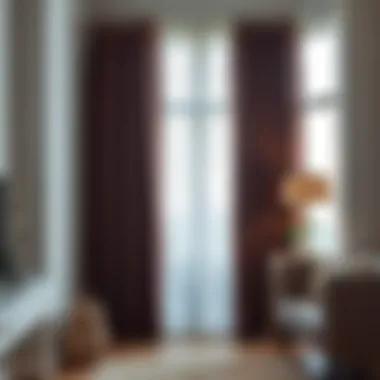 Stylish Design Variations of Eclipse Blackout Curtains Stylish design variations of blackout curtains in different interiors