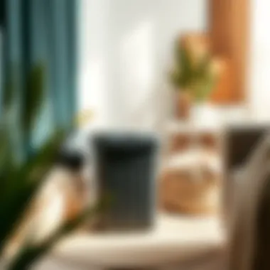 Eco-friendly black plastic hamper with lid in a stylish setting