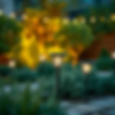 A Spectrum of Designs for Every Landscape Diverse designs of LED garden lights suited for various landscapes