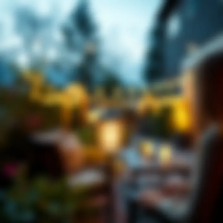 Transforming Outdoor Spaces with LED Elegance Elegant LED garden lights enhancing outdoor ambiance
