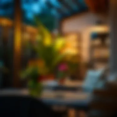 Essential Care for Lasting Illumination Maintenance tips for preserving LED garden lights