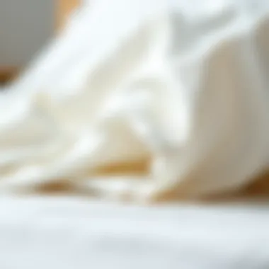 Close-up view highlighting the softness and weave of 300 thread count fabric.