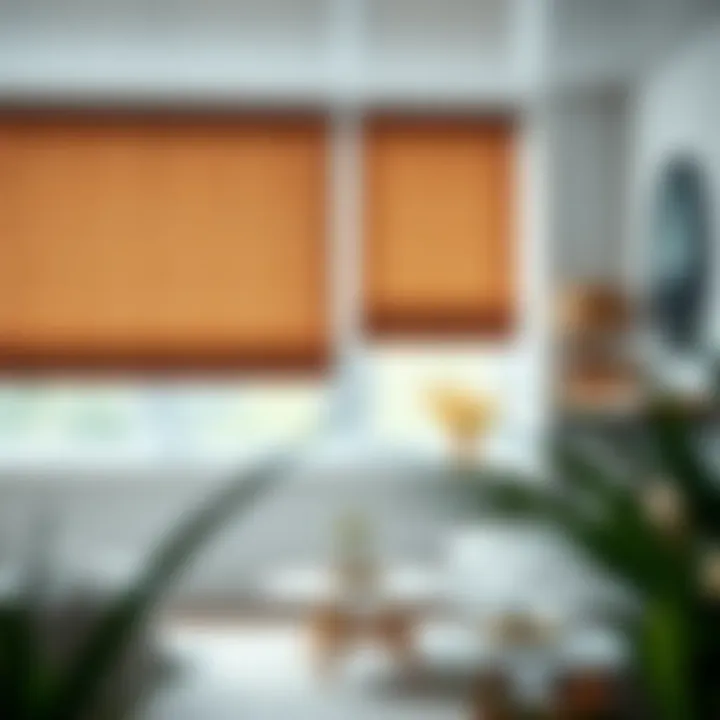 Diverse Fabric Options for Roller Shades Various fabric options available for roller shades