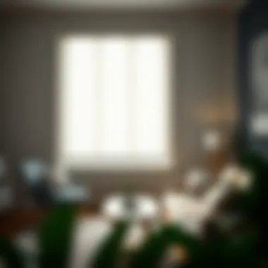 Stylish Roller Shades Complementing Home Decor Stylish roller shades complementing home decor