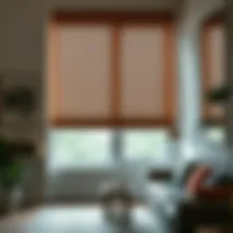 Exploring 70-Inch Wide Bamboo Shades: A Comprehensive Guide Introduction