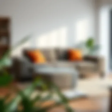 Notable Exploring Affordable Pull-Out Sofas: The Practical Choice for Modern Living Notable Exploring Affordable Pull-Out Sofas: The Practical Choice for Modern Living