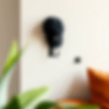 Stylish wall-mounted baseball hat hooks in a modern living space