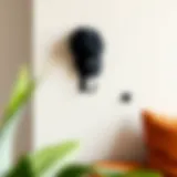 Stylish Wall-Mounted Hat Hooks Stylish wall-mounted baseball hat hooks in a modern living space