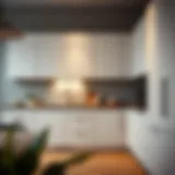 Stylish modern kitchen cabinets