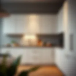 Stylish modern kitchen cabinets