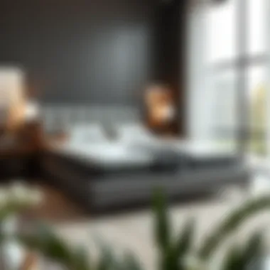 Elegant design of a king size memory foam frame showcasing modern aesthetics