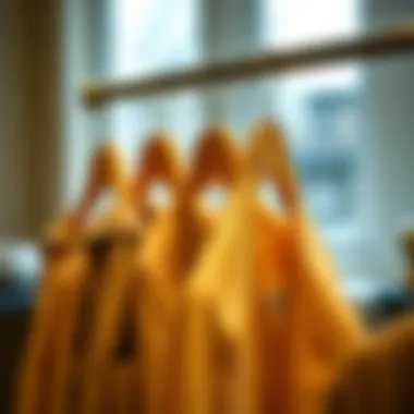 Historical Evolution of Coat Hanger Designs Evolution of coat hanger designs through the years