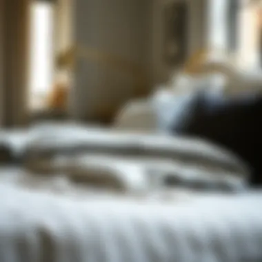 Notable Exploring Pinstripe Comforter: A Guide to Style and Functionality Notable Exploring Pinstripe Comforter: A Guide to Style and Functionality