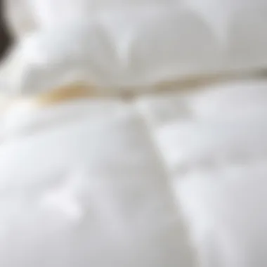 Luxurious Fabric of Comforter Close-up of luxurious fabric used in comforter design
