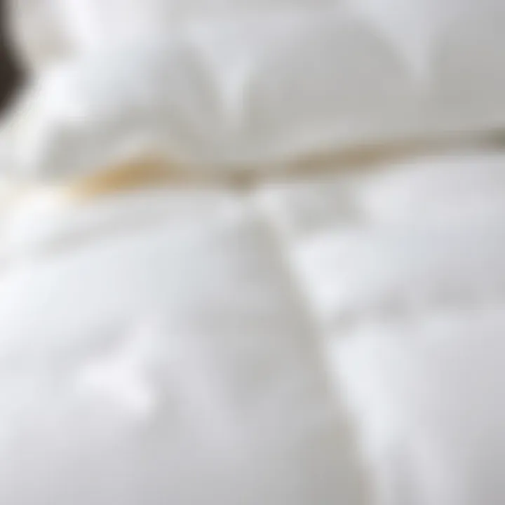 Luxurious Fabric of Comforter Close-up of luxurious fabric used in comforter design