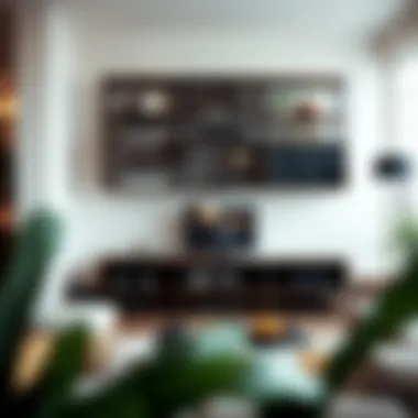 Functional Stereo Shelving Arrangement Stylish arrangement of stereo shelving in a contemporary living room