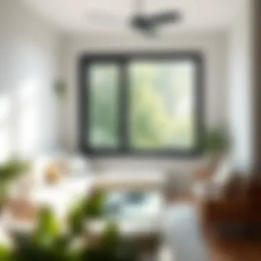 Natural Illumination Through 30 x 38 Window Natural light flooding through a 30 x 38 window