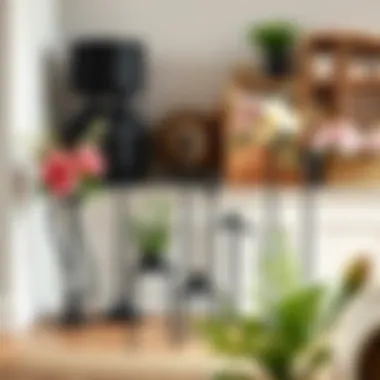 Diverse Design Options of Black Metal Flower Stands Various designs of black metal flower stands displayed together