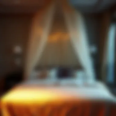 Dreamy Atmosphere Created by a Starry Bed Canopy Elegant bedroom with a starry bed canopy