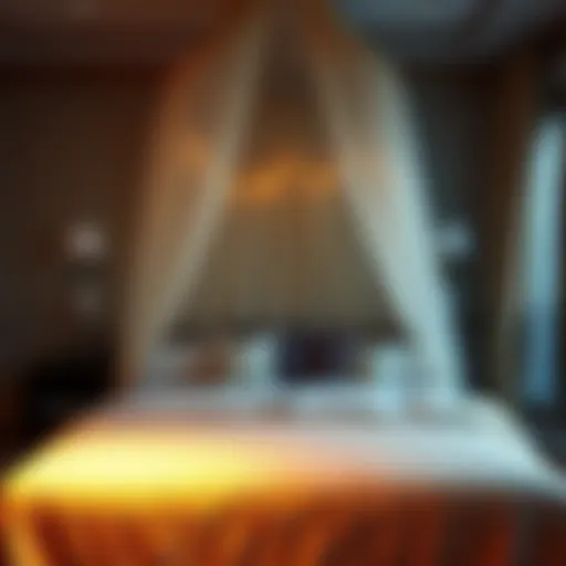 Dreamy Atmosphere Created by a Starry Bed Canopy Elegant bedroom with a starry bed canopy