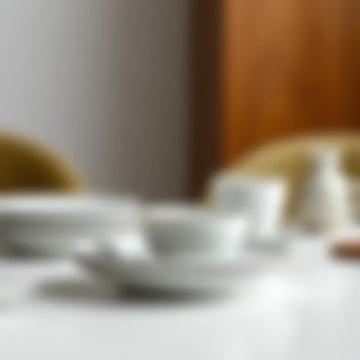 Contemporary porcelain plate set with minimalist aesthetic