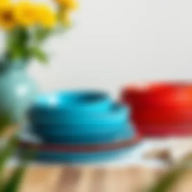 Vibrant melamine plate set ideal for casual dining