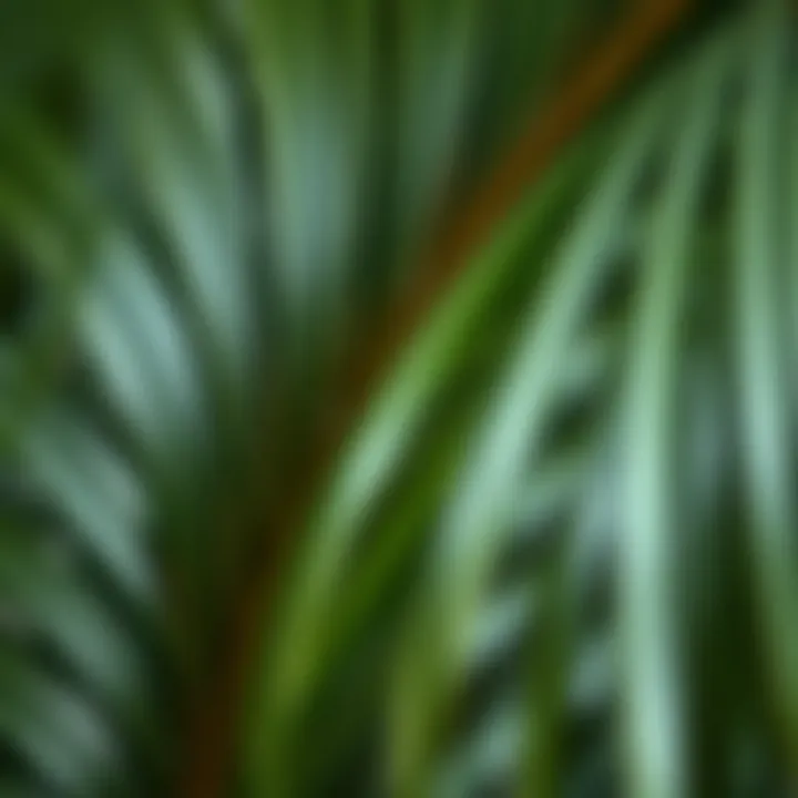 Close-Up View of Textured Materials of Artificial Palm Leaves Close-up view of textured materials of artificial palm leaves