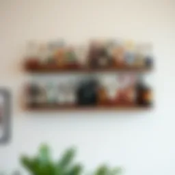 Exploring the Concept of Wall Liquor Shelves Introduction