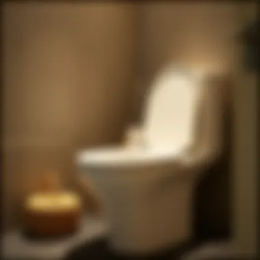Exploring the Hidden Toilet Brush Holder: Functionality and Aesthetics Summary Exploring the Hidden Toilet Brush Holder: Functionality and Aesthetics Summary