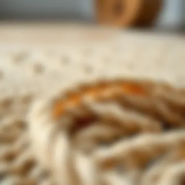 Craftsmanship in Natural Rug Fibers Close-up of natural rug fibers emphasizing craftsmanship