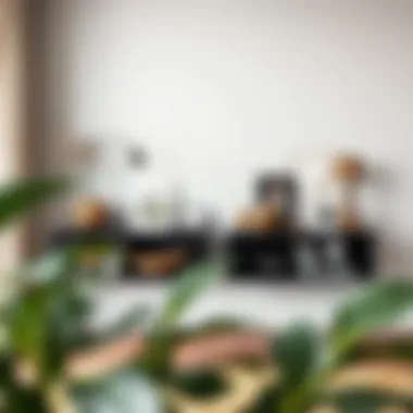 Stylish long low bookcase showcasing decorative items