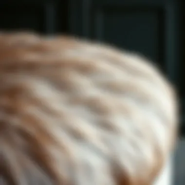 Fur Texture and Craftsmanship Close-up of fur texture on an ottoman highlighting its material quality and craftsmanship