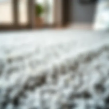 Close-Up of Luxurious Grey Entrance Rug Texture Close-up of texture on a luxurious grey entrance rug