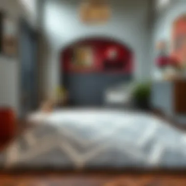 Grey Rug with Vibrant Entrance Decor Grey rug complementing vibrant entrance decor