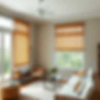 Notable Exploring the Versatility of Home Depot Rattan Blinds Notable Exploring the Versatility of Home Depot Rattan Blinds