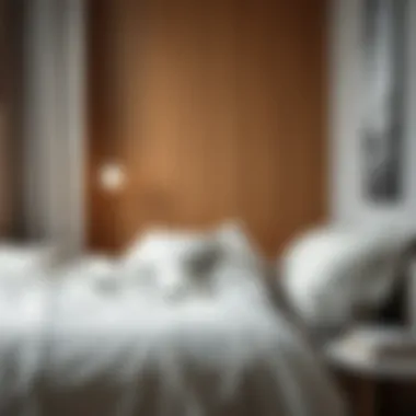 Exploring the Versatility of Light Gray Bed Sheets in Modern Interiors Summary