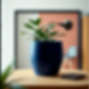 Notable Exploring the Versatility of the Six-Inch Plant Pot Notable Exploring the Versatility of the Six-Inch Plant Pot