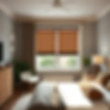 Stylish Bedroom Featuring Cordless Blinds Stylish bedroom with top down bottom up cordless window blinds