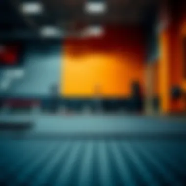 Rubber Mat Applications in Gyms Rubber mat enhancing a gym space